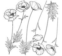 Autocollant mural – Coquelicots – Fond transparent – 120 x 120 cm