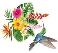 Autocollant mural – Fleurs tropicales et colibri – Fond transparent – 120 x 145 cm