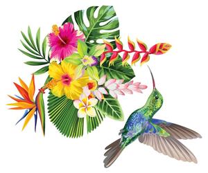 Autocollant mural – Fleurs tropicales et colibri – Fond transparent – 60 x 70 cm
