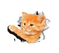 Autocollant pour Siège de Toilette Orange Chat Amovible en PVC | Décoration Intérieure, Retrait sans Trace, Motif Animal, Usage Maison, pour Verre et Voiture, Ton Lumineux