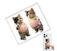 Autocollants 3D en relief Autocollants rigolos ventre de chat