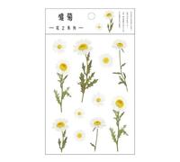 Autocollants Au Design Japonais, Fleurs Naturelles, Trèfles, Accessoires De Décoration, Transparent, Motifs Animaux De Compagnie, Feuilles, Plantes, Adhésifs De Décoration, 12 Modèles