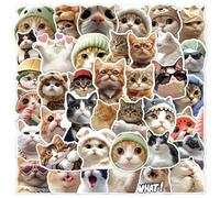 Autocollants de Chat Mème | Stickers Chatons Drôles - 50 Stickers pour Bouteilles Valise Carnet Guitare Ordinateur Décalcomanies Déco Esthétique Scrapbook