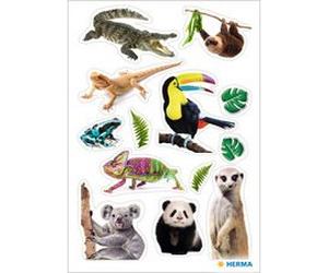 Autocollants DECOR 'Animaux du zoo'