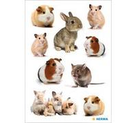 Autocollants DECOR 'Animaux préférés'