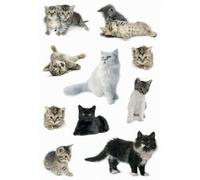 Autocollants DECOR 'Photos de chats'