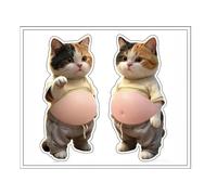 Autocollants en forme de chat 3D Belly Cat pour bouteilles d'eau, planificateur, journal, tasse, bouteille d'eau, tablette, skateboard, bagages,