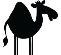 Autocollants tableau noir – autocollants muraux effaçables – CAMEL – 110 x 110 cm