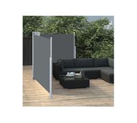 Auvent latéral rétractable Anthracite 100 x 600 cm