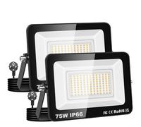 AUXTINGS 2 Pack Projecteur d'extérieur 75W,Sécurité projecteur 7500lm avec prise 230V,IP66 étanchéité lampe de travail extérieure, 4000K éclairage extérieur blanc chaudpour cour patio parking jardin