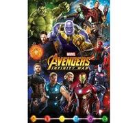 Avengers: Infinity War - Personnages - 61x91,5 cm - AFFICHE / POSTER G