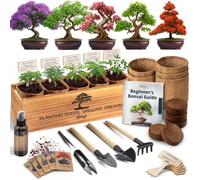AVERGO Avergo Kit de 5 bonsaïs japonais uniques pour la culture de plantes bonsaï avec outils et pots de fleurs - Cadeaux de jardinage pour homme et femme