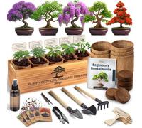 AVERGO Kit Bonsaï - 2X Jacaranda + 1x Criquet - 2xV1-B