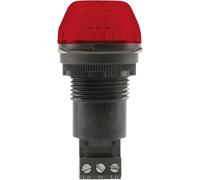 Avertisseur optique LED Auer Signalgeräte 800502405 24 V AC/DC lumière permanente, feu clignotant IP65/67 1 pc(s)