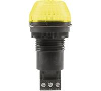 Avertisseur optique LED Auer Signalgeräte 800507405 24 V AC/DC lumière permanente, feu clignotant IP65/67 1 pc(s)