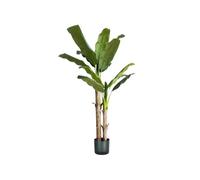 Avilia Banano Artificiel 170 cm en polyéthylène avec 17 Feuilles, Plante de Banane Artificielle Parfaite pour décorer Les environnements intérieurs