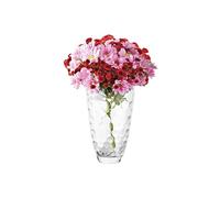 Avilia Vase en Verre Transparent avec Motif nid d'abeille, 30 cm, élégant et Moderne, idéal pour Chaque Environnement comme décoration ou pour Ranger des Fleurs et des Plantes, résistant et Facile à