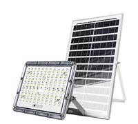 Projecteur LED 13W Extérieur 9000K avec Panneau Solaire 15W Gris