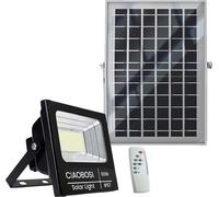 Avizar, projecteur solaire à LED 60 W IP67 avec panneau séparé et télécommande, noir transparent