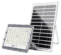 Avizar, projecteur solaire LED d'extérieur 9000 K avec capteur automatique, gris