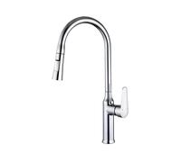 Avizar Robinet de Cuisine Extensible avec Embout Rétractable Flexible Argent