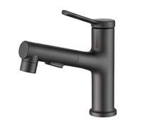 Avizar Robinet de Lavabo Extensible avec Fonction de Rinçage Buccal Noir