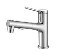 Avizar Robinet de Lavabo Extensible Multifonction avec Fonction Rinçage Buccal Argent