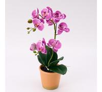 Avoeco Orchidée artificielle au toucher réaliste - 38,1 cm - Faux phalaenopsis en pot - Texture florale et feuille d'orchidée en soie très réaliste pour la maison, le bureau, la boutique et la