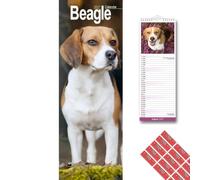 Avonside Beagle 2027 Calendrier Mince avec Stickers d'Organisation, Planificateur Mural 12 Mois (Jan-Déc 2027), Maison, Bureau ou Cuisine pour Amateurs de Chiens, 15 x 42 cm