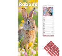 Avonside Lapins 2027 Calendrier Mince avec Stickers d'Organisation, Planificateur Mural 12 Mois (Jan-Déc 2027), Maison, Bureau ou Cuisine pour Propriétaires d'Animaux, 15 x 42 cm