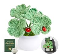 AWARDSEN Décoration trèfle à quatre feuilles, porte-bonheur crocheté, quatre feuilles de trèfle, cadeaux de motivation, décoration de la maison, cadeaux positifs pour les femmes, avec pièce