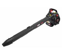 Awtools Souffleur de feuilles / Aspirateur de feuilles 3 en 1 0,75 kW 450 ml LBV340