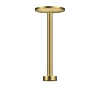 Axor One - Bras de douche de plafond, 30 cm, laiton brossé 48496950