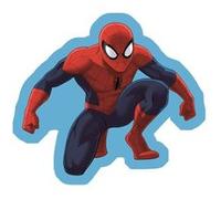 Coussin - AYMAX - Spider Man - Multicolore - Déhoussable - Asymétrique