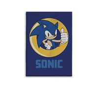 AYMAX Couverture Plaid Sonic, Polyester, Single Layered Blanket, Couverture, Bleu, 140 cm x 100 cm