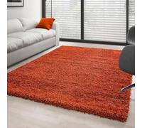Ayyildiz - Tapis Shaggy Terracotta Doux et Moelleux 30 mm pour Salon et Chambre - Dimension 240x340 cm