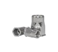 AYYSSM Écrou à Riveter en Acier Inoxydable 304 à tête fraisée et Demi-Corps Hexagonal, Capuchon d'insertion M4-M12(M10 (5Pcs))