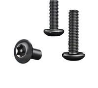 AYYSSM Vis à tête Ronde à Six lobes en Acier Inoxydable 304 Noir inviolable avec vis de sécurité à goupille(30mm,M4 (20Pcs))