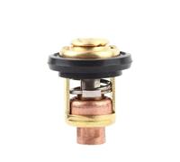 AYZLGAA Thermostat 60 degrés 140f for Moteur Hors-Bord M-e-r-c-u-r-y 825212001 855676a1