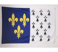 AZ FLAG Drapeau Armoiries de la Vendée 90x60 cm Polyester 100D Fourreau | Usage intérieur et extérieur Drapeau décoratif vendéen catholique coutures doubles et bords renforcés avec fourreau pour mât