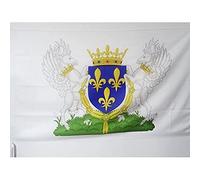 AZ FLAG Drapeau Blason royaume de France Charles VI 150x90 cm Fourreau | Usage intérieur et extérieur Drapeau décoratif royaliste français coutures doubles et bords renforcés avec fourreau pour mât