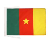AZ FLAG - Drapeau Cameroun - 45x30 cm - Pavillon Camerounais 100% Polyester Avec Deux Cordelettes - 20g