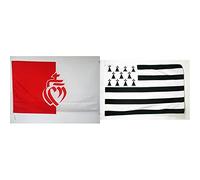 AZ FLAG Drapeau Département de la Vendée 90x60cm - Cœur Vendéen et Bretagne 60 x 90 cm - Fourreau pour Hampe - Breton - France