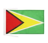 AZ FLAG - Drapeau Guyana - 45x30 cm - Pavillon Guyanien 100% Polyester Avec Deux Cordelettes - 20g
