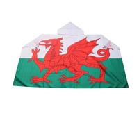 AZ FLAG Drapeau Pays de Galles 150x90 cm - Cape Drapeau Gallois 100% Polyester Avec Manches Intégrées - Body Flag 80g