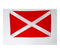 AZ FLAG Drapeau rouge avec croix de Saint-André blanche 90x60 cm Fourreau
