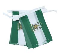 AZ FLAG - Guirlande Drapeau Andalousie - 6 Mètres Avec 20 Fanions Andalous - Andalucia - Espagne De 21x14 cm - Petits Drapeaux 100% Polyester - 60g