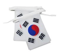 AZ FLAG - Guirlande Drapeau Corée du Sud - 6 Mètres Avec 20 Fanions Coréen De 21x14 cm - Petits Drapeaux 100% Polyester - 60g