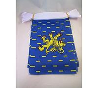 AZ FLAG - Guirlande Drapeau Franche-Comté - 6 Mètres Avec 20 Fanions Franc-Comtois - Province De 21x14 cm - Petits Drapeaux 100% Polyester - 60g