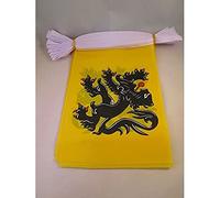 AZ FLAG Guirlande Nord-Pas-de-Calais 6 m 20 drapeaux Polyester Léger